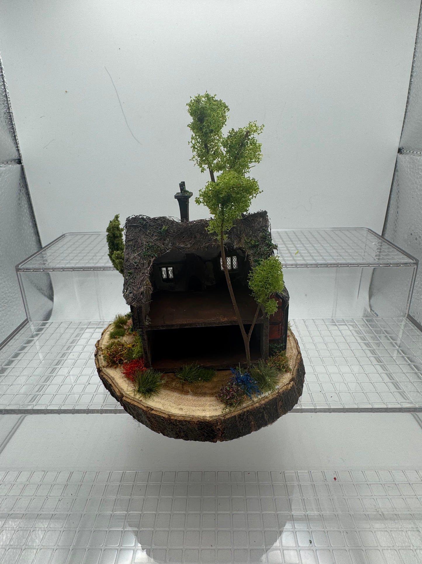 1/144th Pumpkin Rest