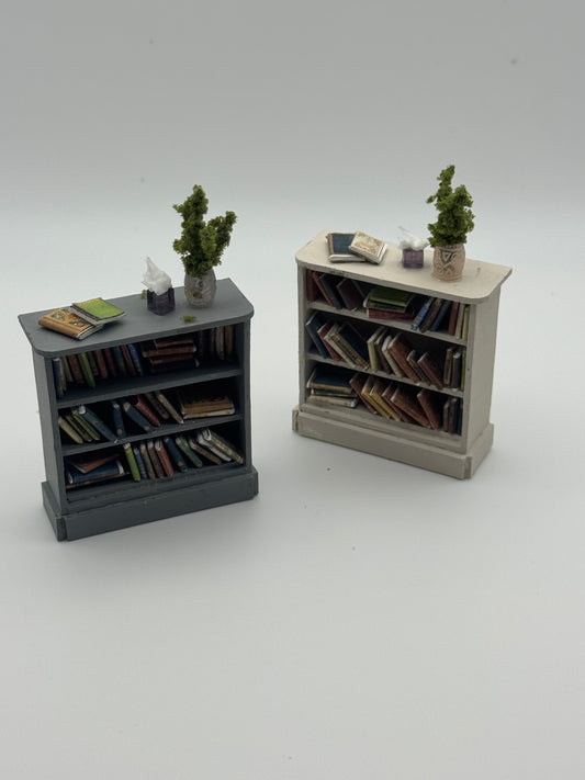 1/24th Bookcase x1