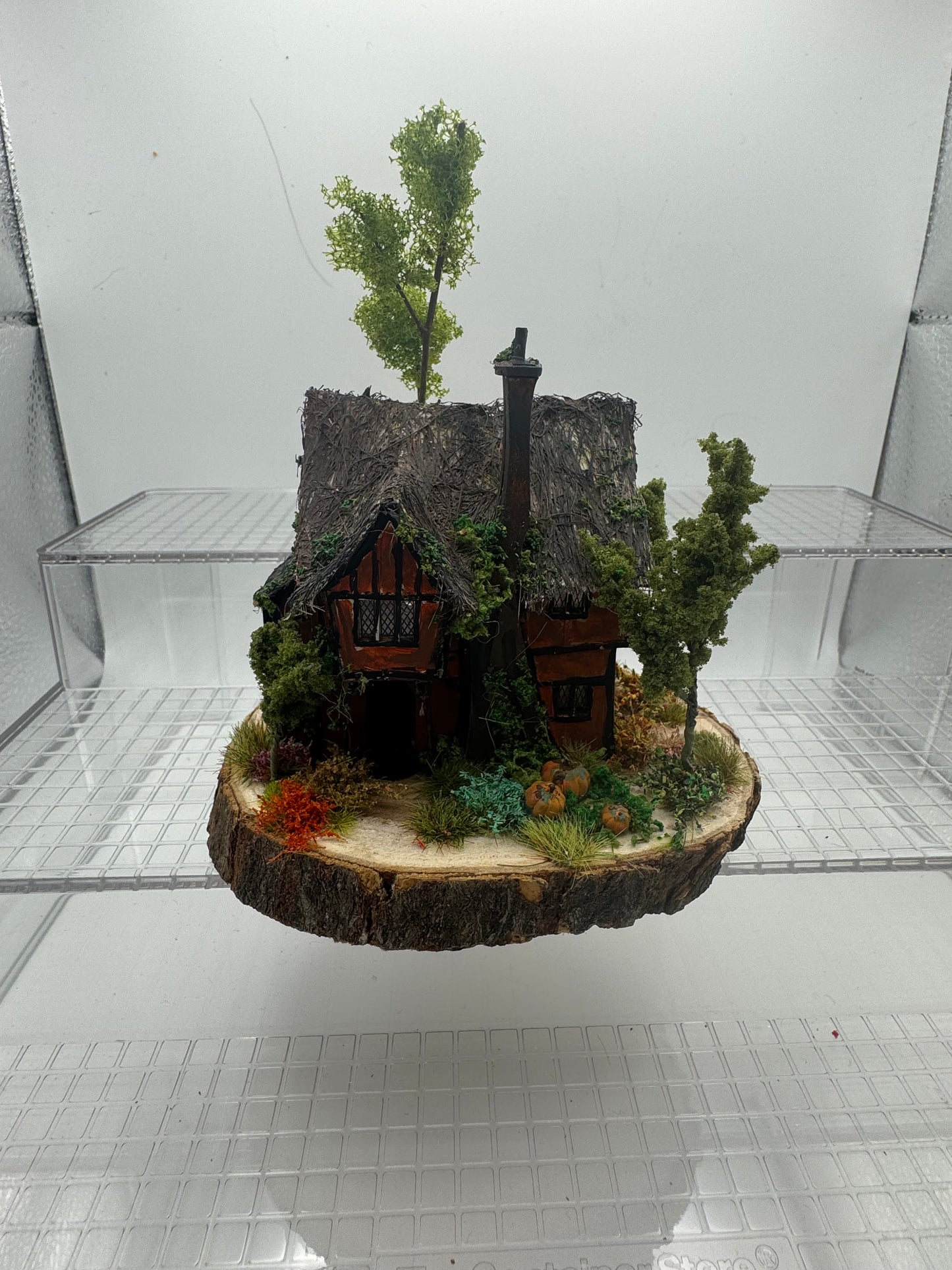 1/144th Pumpkin Rest