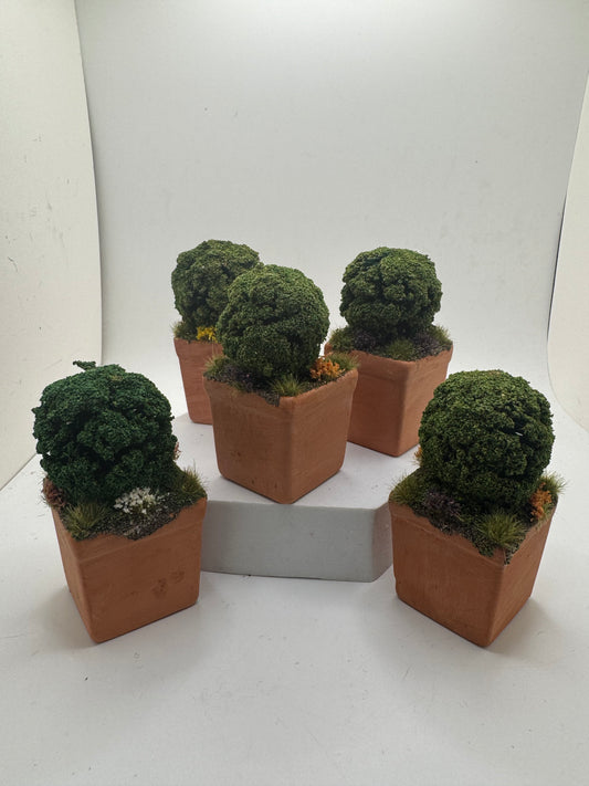 1/12th - Topiary Box Ball in Planter x1
