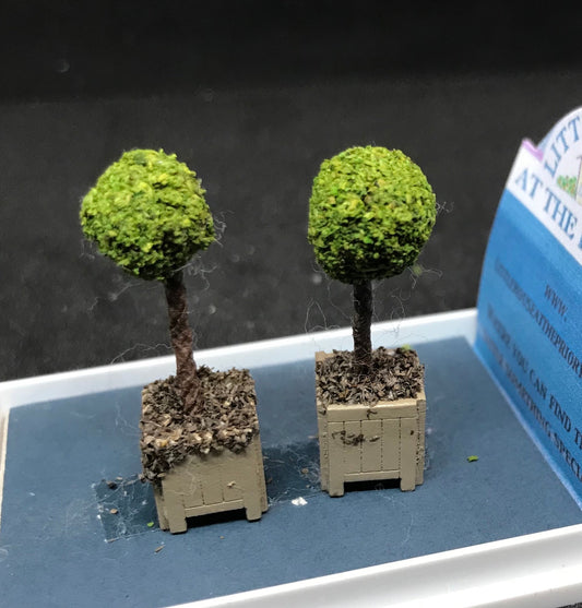 Dolls House Miniatures ( 1/48th - 1:48th - 1/4" - Quarter Inch Scale ) Luxury Dressed  topiary bay trees x2 -