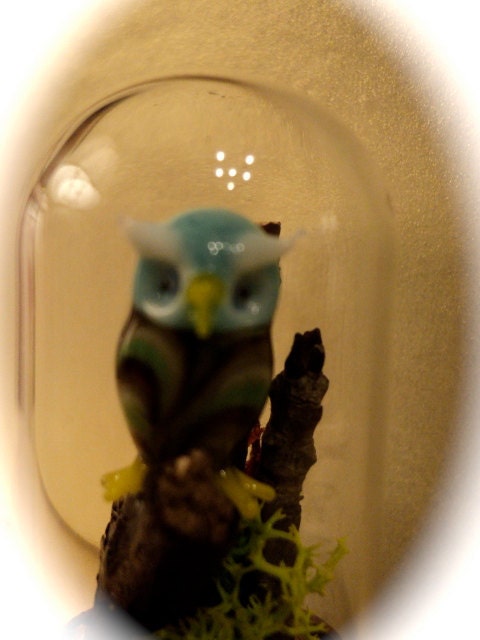 Dolls House Miniature - 1/12th Genuine Murano Glass Owl in Dome