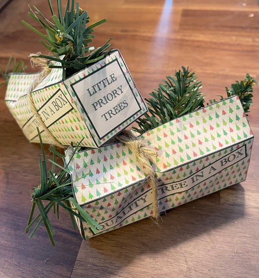 Dolls house Miniatures - Christmas Tree in box (display only)