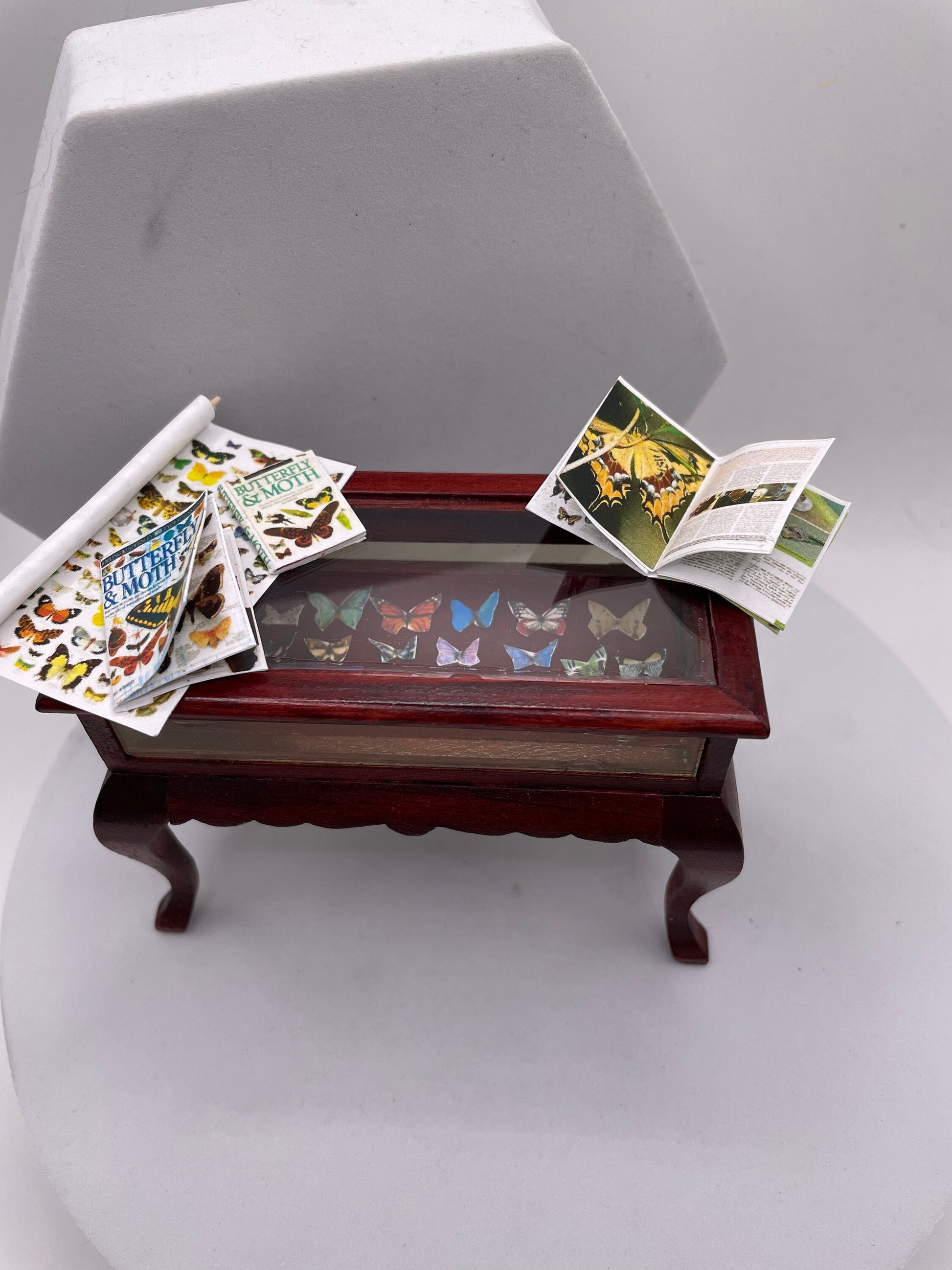 Dolls House Miniatures - 1/12th Lepidopterist ( butterfly ) Curio Table  - Vera Collective