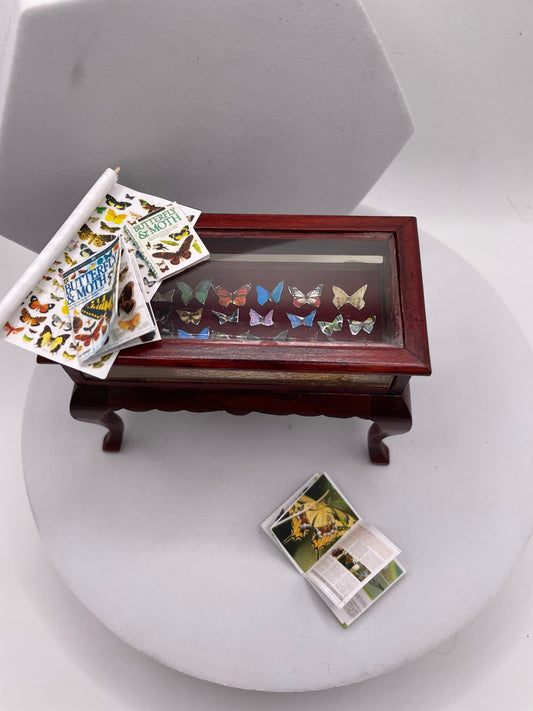 Dolls House Miniatures - 1/12th Lepidopterist ( butterfly ) Curio Table  - Vera Collective