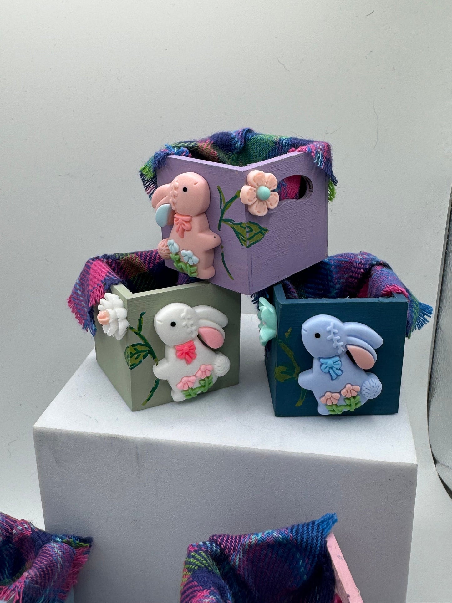 1/12th Bunny Rabbit box x1