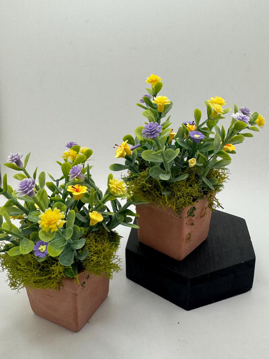 Dolls House Miniatures - square Planter x1